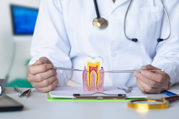 Best Emergency Denture Repair in Ocoee, FL